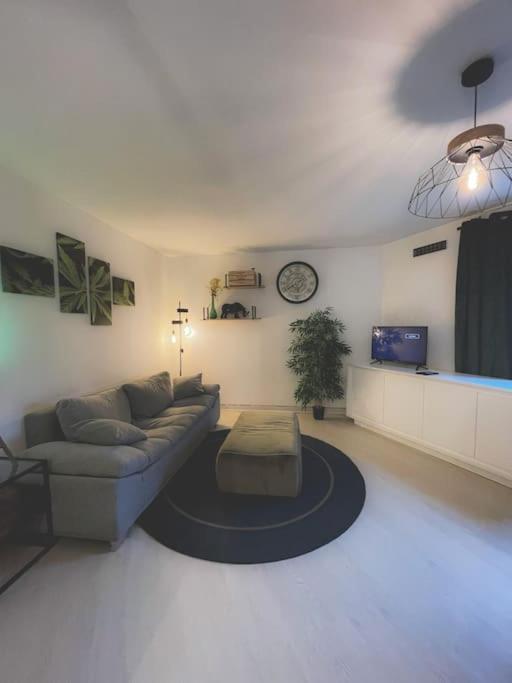 Appartement Cosy A Άννεσι Εξωτερικό φωτογραφία