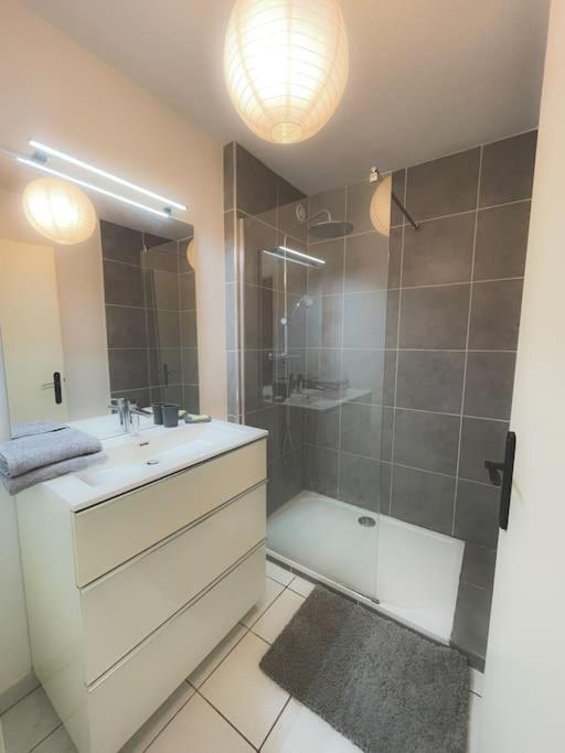 Appartement Cosy A Άννεσι Εξωτερικό φωτογραφία