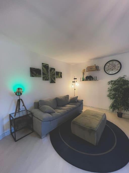 Appartement Cosy A Άννεσι Εξωτερικό φωτογραφία